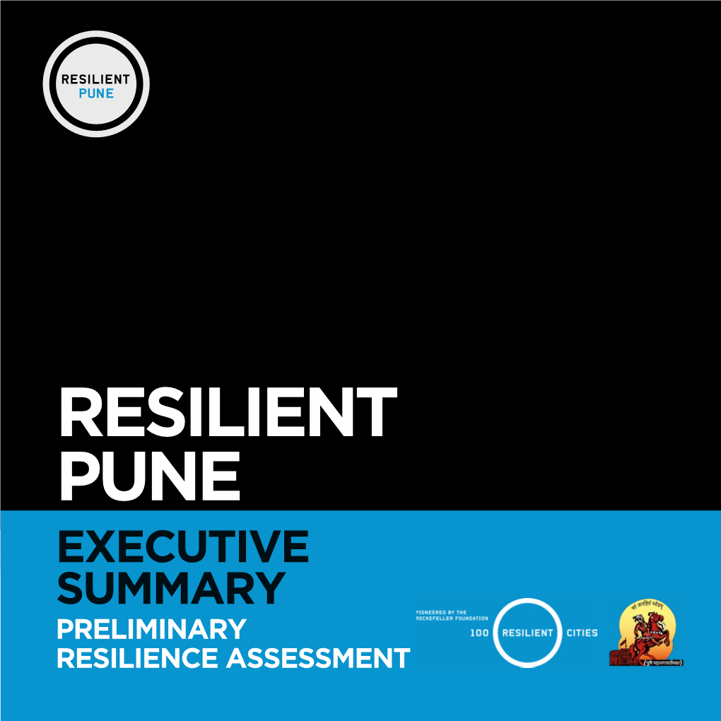 Executive Summary Preliminary Resilience Assessment