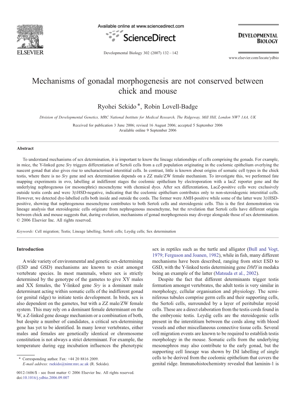 Mechanisms of Gonadal Morphogenesis Are Not Conserved Between Chick and Mouse ⁎ Ryohei Sekido , Robin Lovell-Badge