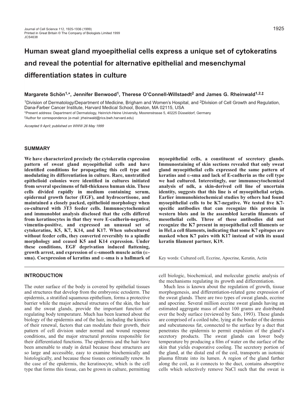 Sweat Gland Myoepithelial Cell Differentiation