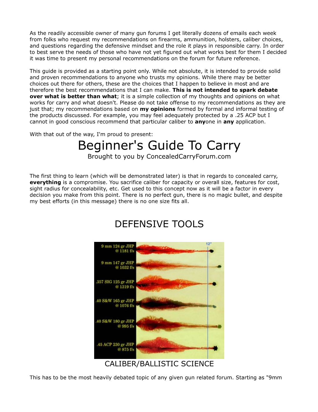 Beginner's Guide to Carry Brought to You by Concealedcarryforum.Com