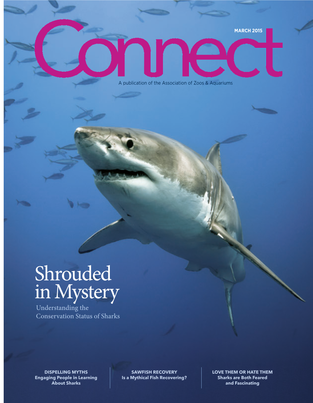 Shrouded in Mystery Understanding the Conservation Status of Sharks