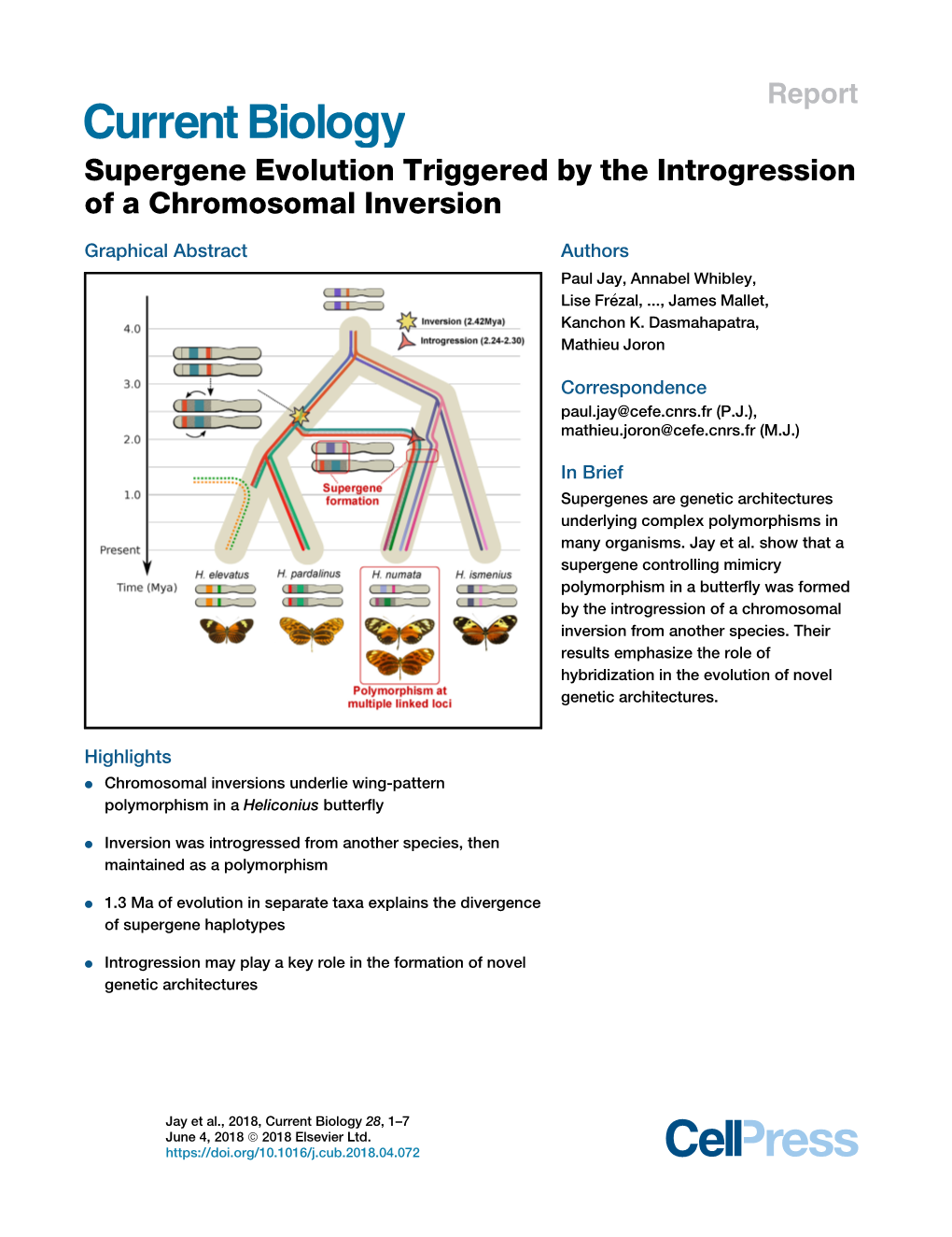 Supergene Evolution Triggered by the Introgression of a Chromosomal Inversion