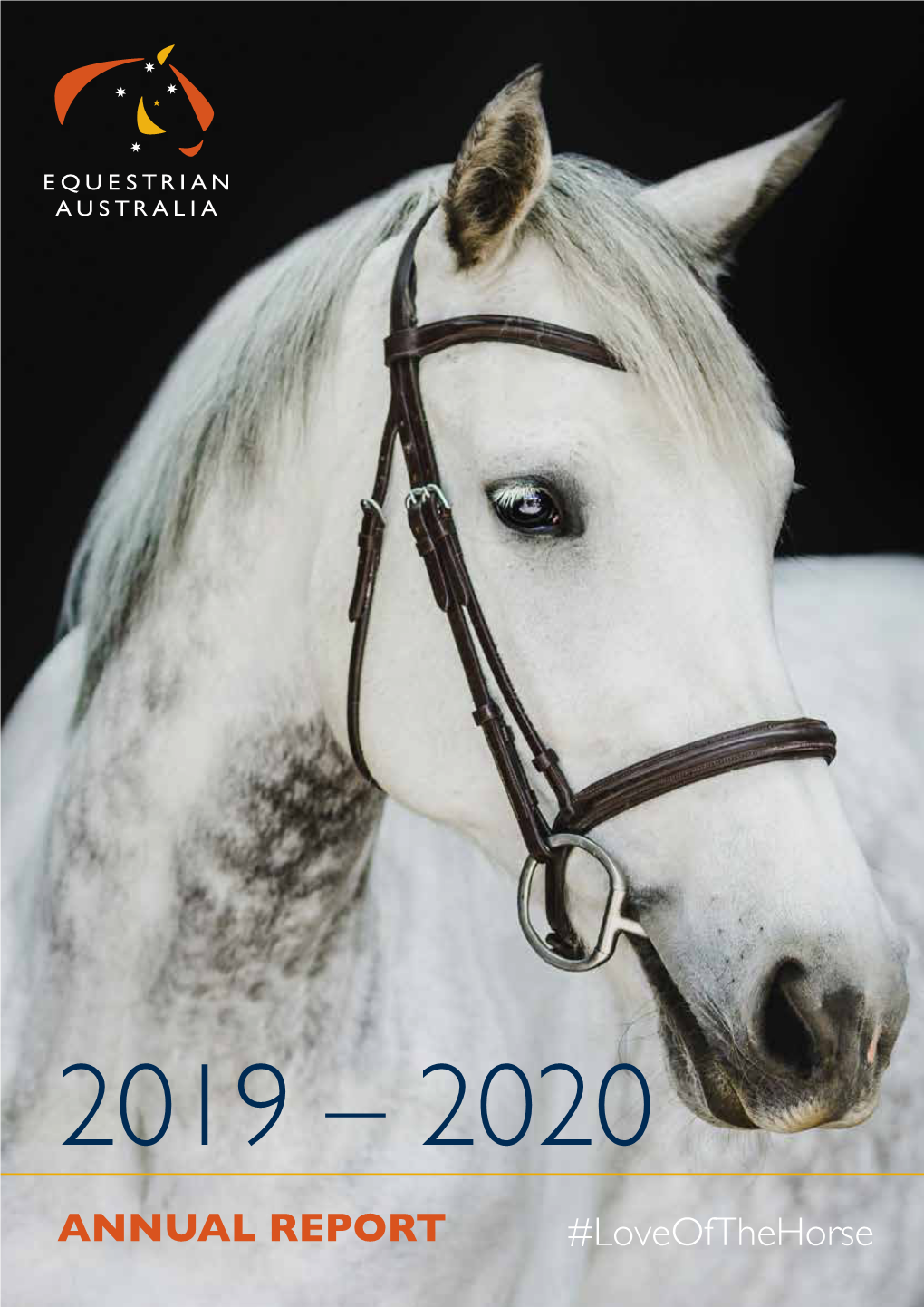 Annual Report 2019-2020