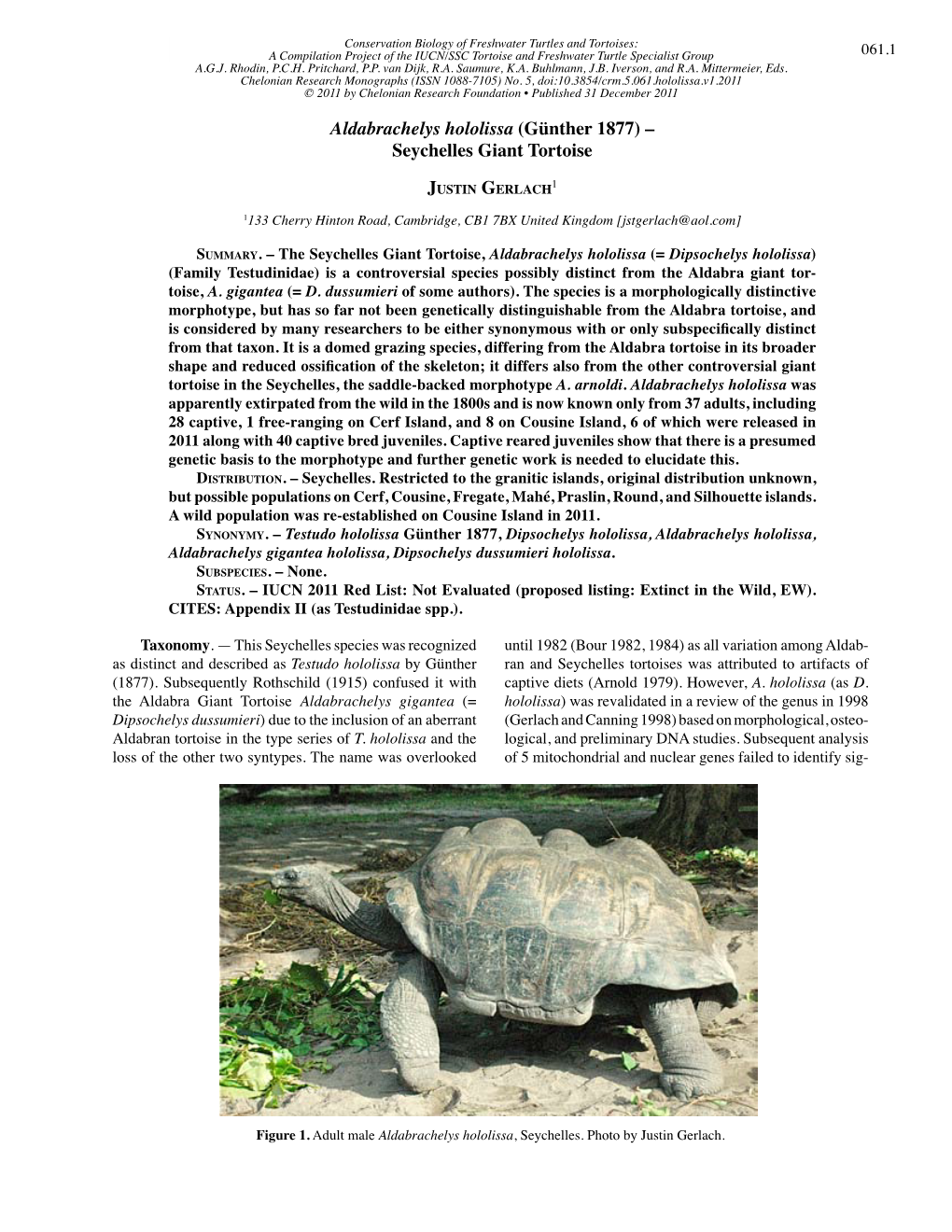 Seychelles Giant Tortoise