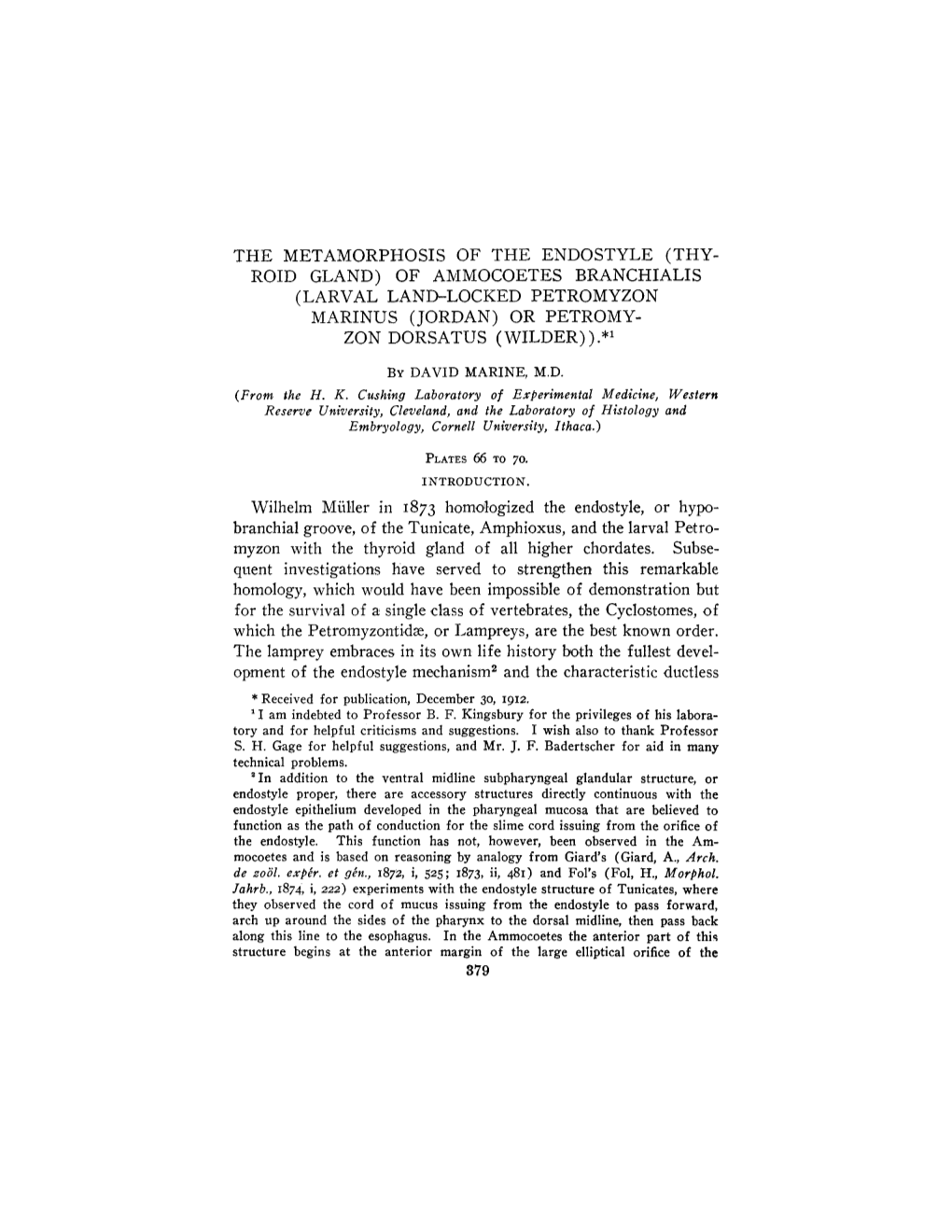 The Metamorphosis of the Endostyle (Thy- Roid Gland) of Ammocoetes Branchialis (Larval Land-Locked Petromyzon Marinus (Jordan) Or Petromy- Zon Dorsatus (Wilder) ).*I