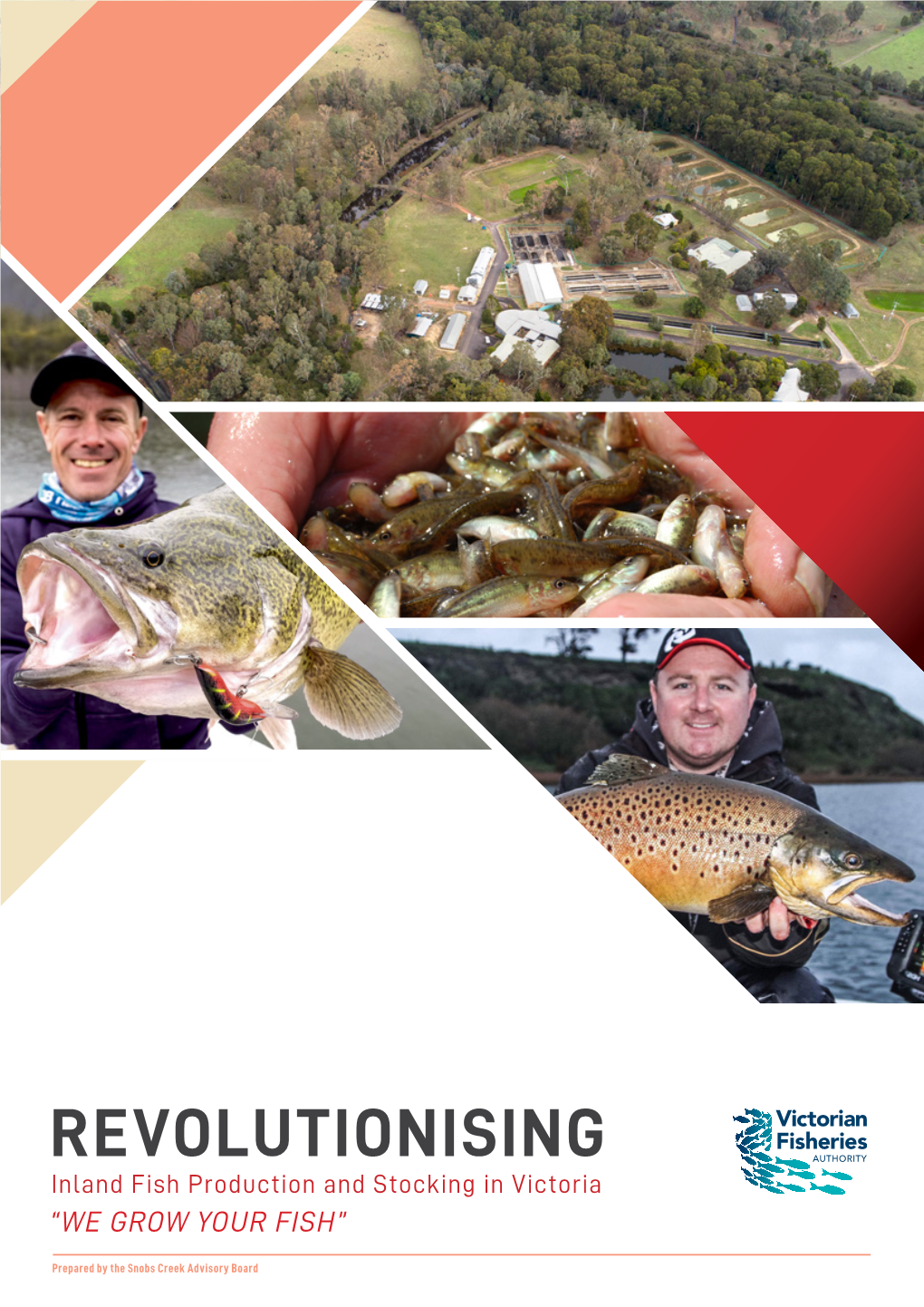 REVOLUTIONISING Inland Fish Production and Stocking in Victoria “WE GROW YOUR FISH”