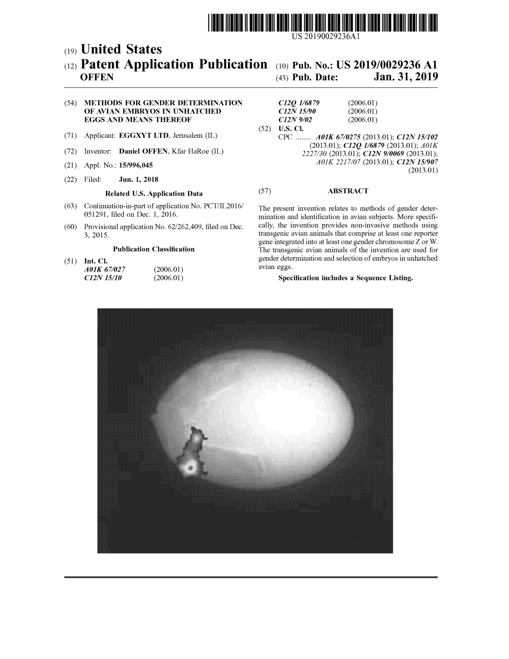 ( 12 ) Patent Application Publication ( 10 ) Pub . No . : US 2019 / 0029236 A1