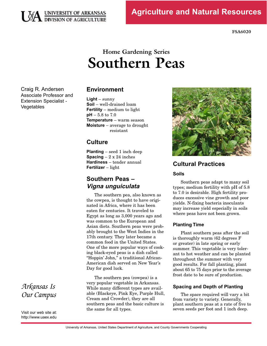 Southern Peas