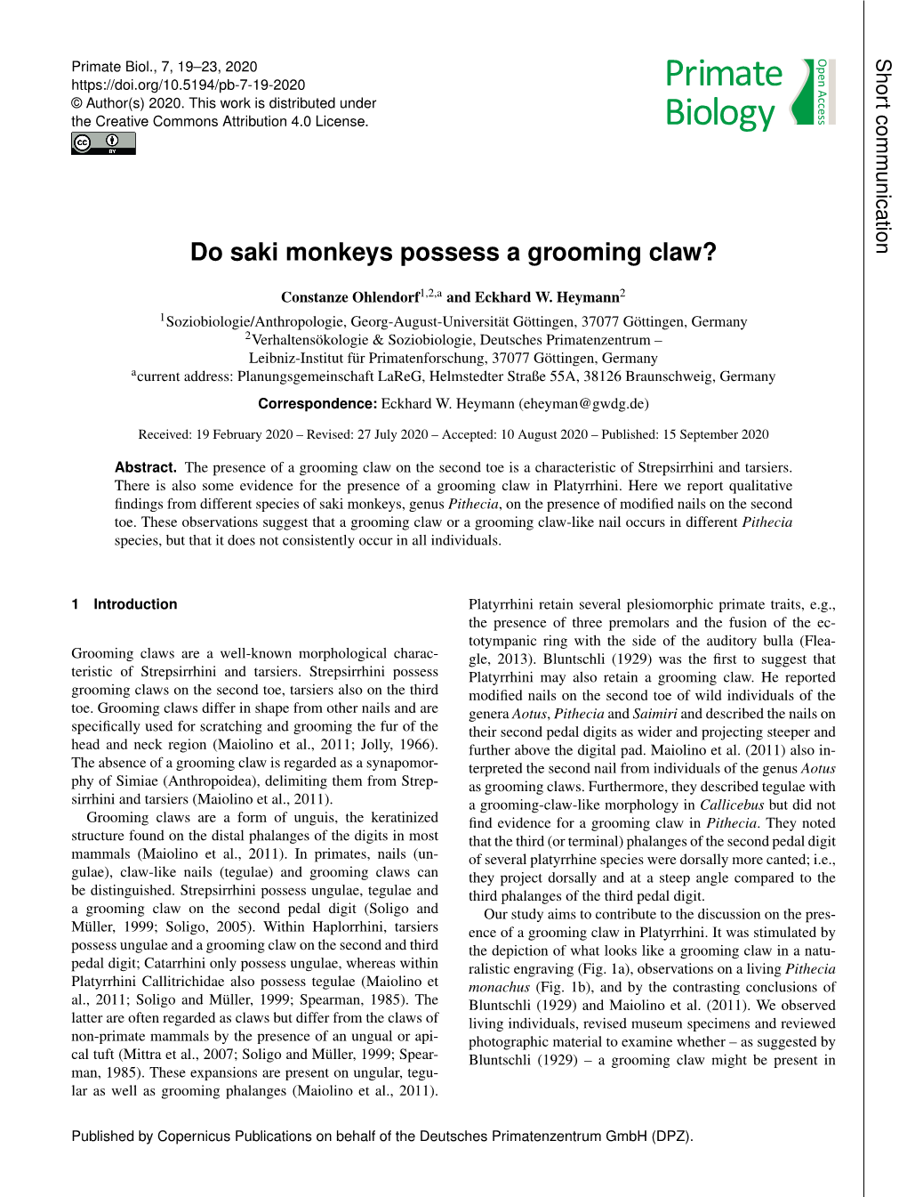 Do Saki Monkeys Possess a Grooming Claw?