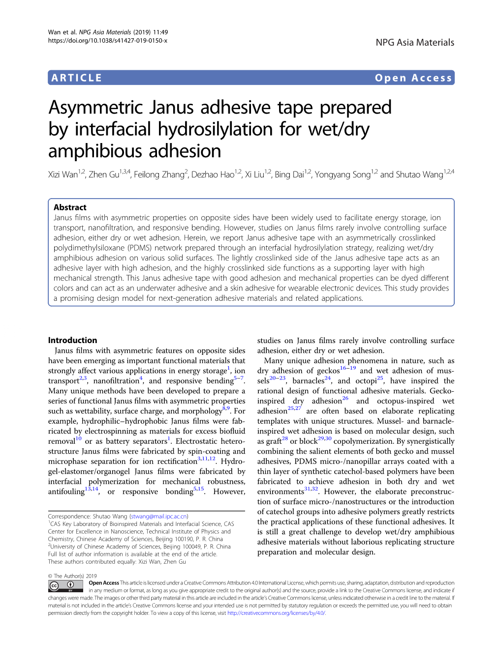 Asymmetric Janus Adhesive Tape Prepared by Interfacial