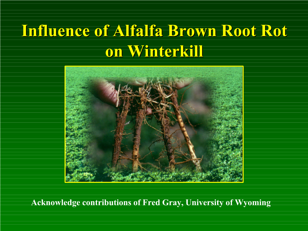 (Grau, Craig) Grau Brown Root Rot.Ppt [Read-Only]