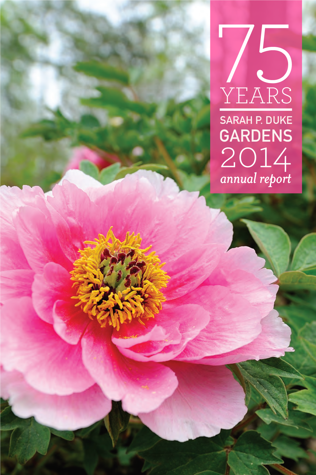 Annual Report 2014