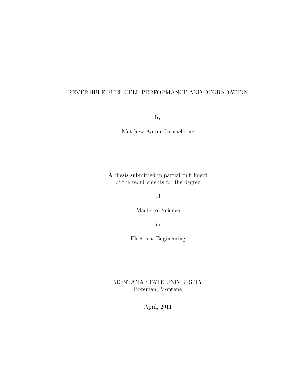 Fuel Cell Performance and Degradation