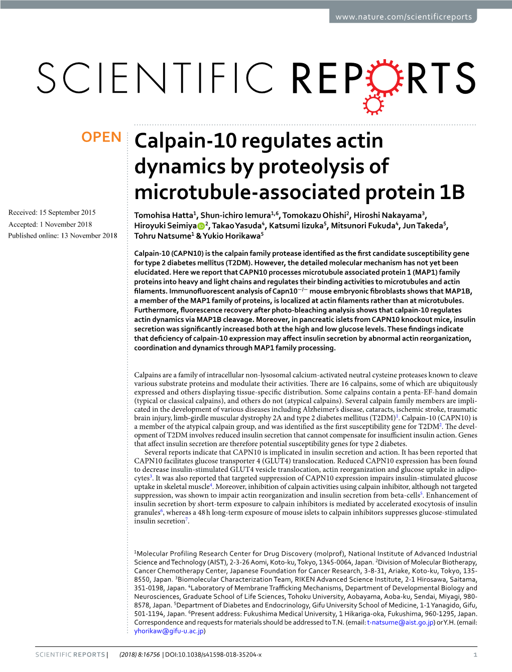 Calpain-10 Regulates Actin Dynamics by Proteolysis of Microtubule-Associated Protein 1B