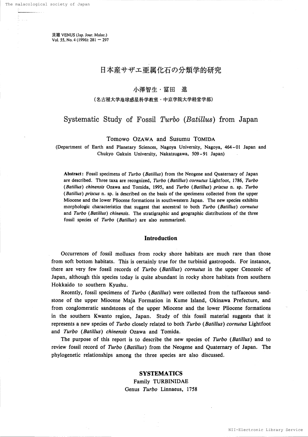 Systematic Study of Fossil Turbo （Batillus）From Japan