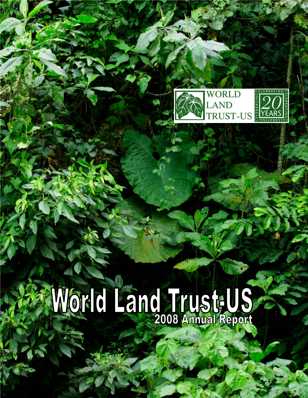 Saving the Atlantic Rainforests