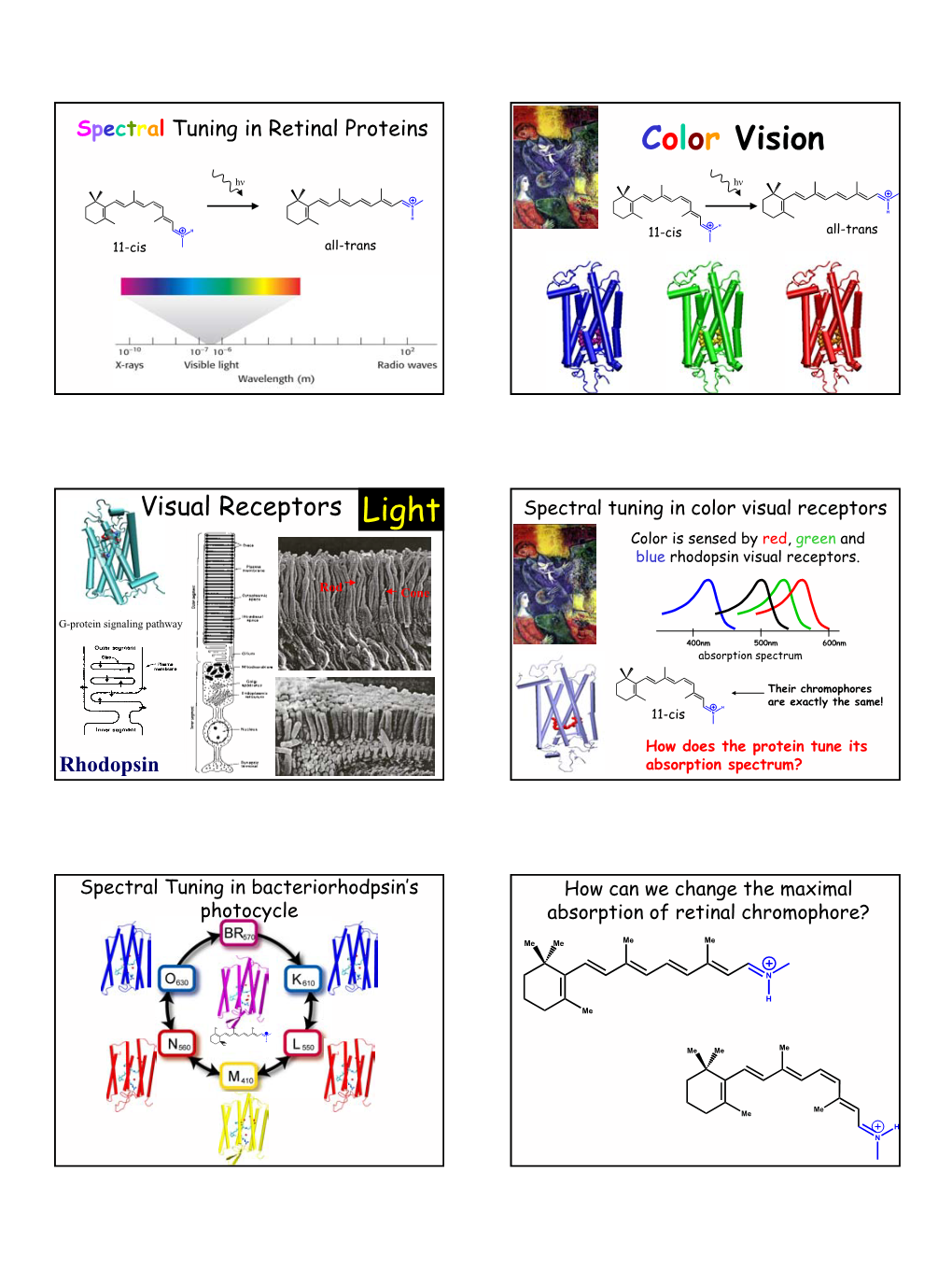 Color Vision Light