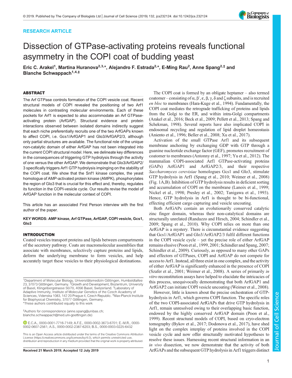 Dissection of Gtpase-Activating Proteins Reveals Functional Asymmetry in the COPI Coat of Budding Yeast Eric C