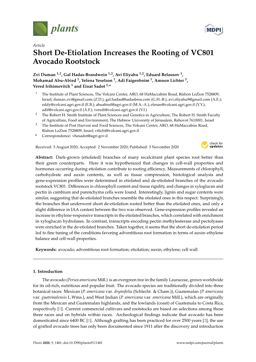 Short De-Etiolation Increases the Rooting of VC801 Avocado Rootstock