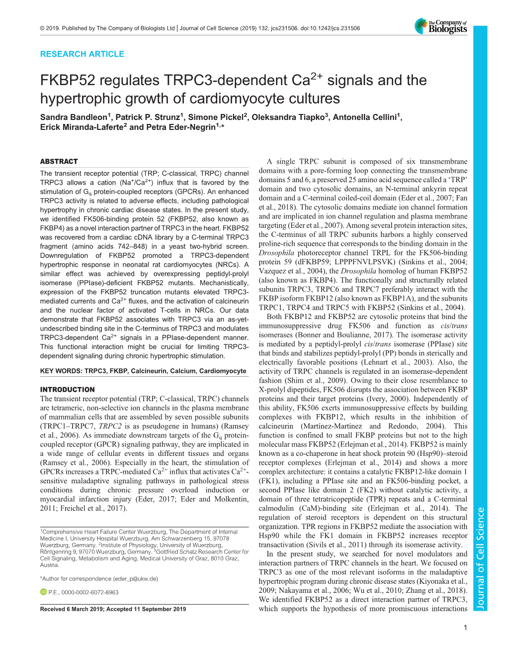 FKBP52 Regulates TRPC3-Dependent Ca&lt;Sup&gt;