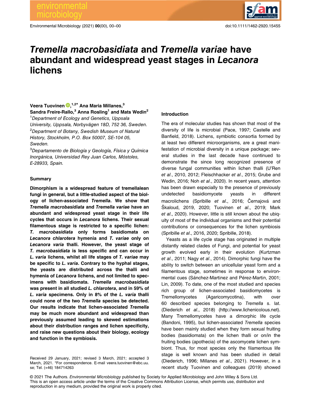 Tremella Macrobasidiata and Tremella Variae Have Abundant and Widespread Yeast Stages in Lecanora Lichens