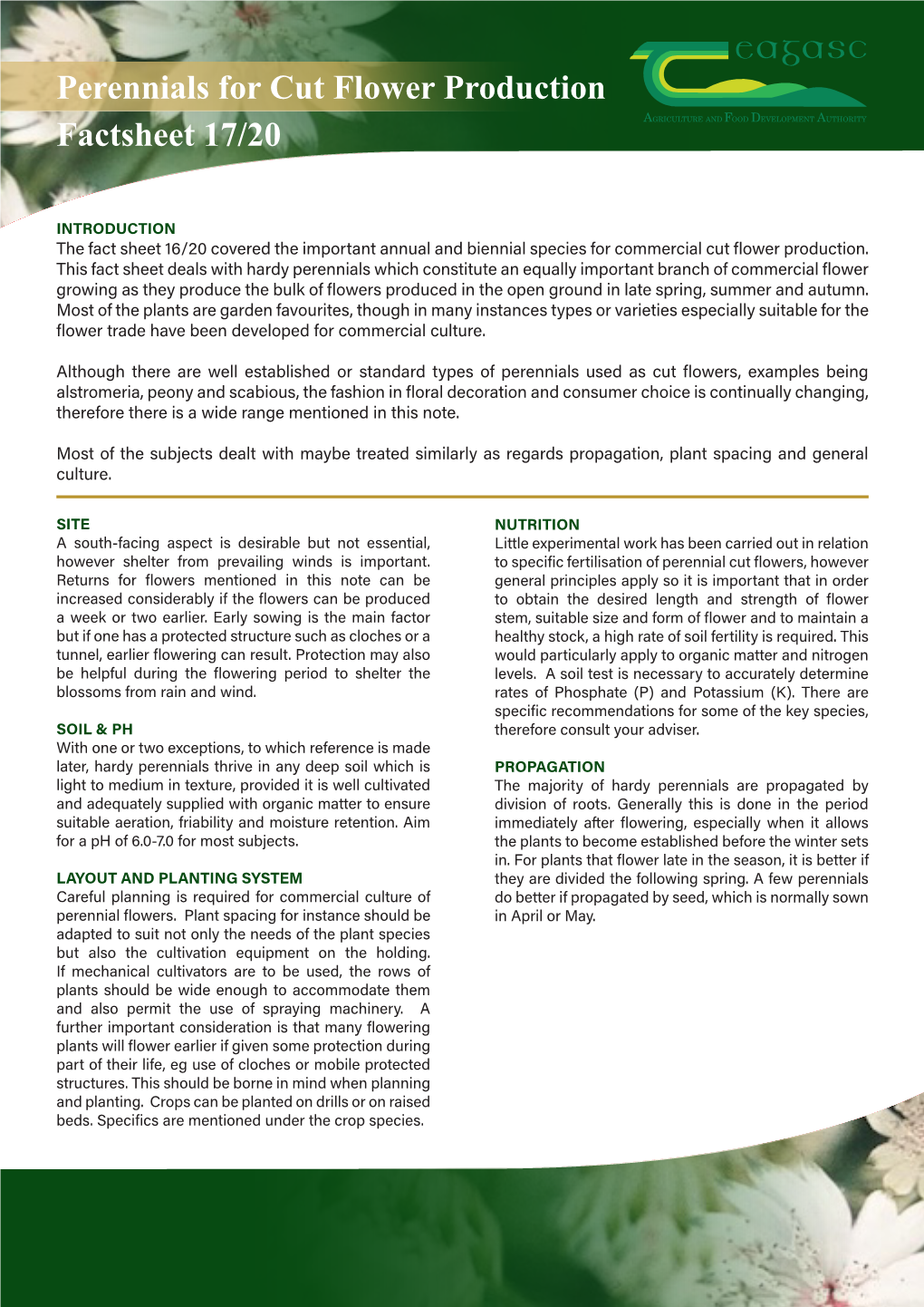 Perennials for Cut Flower Production Factsheet 17/20