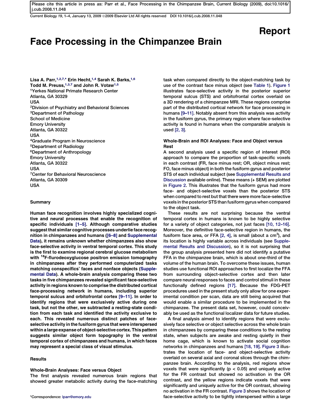 Face Processing in the Chimpanzee Brain