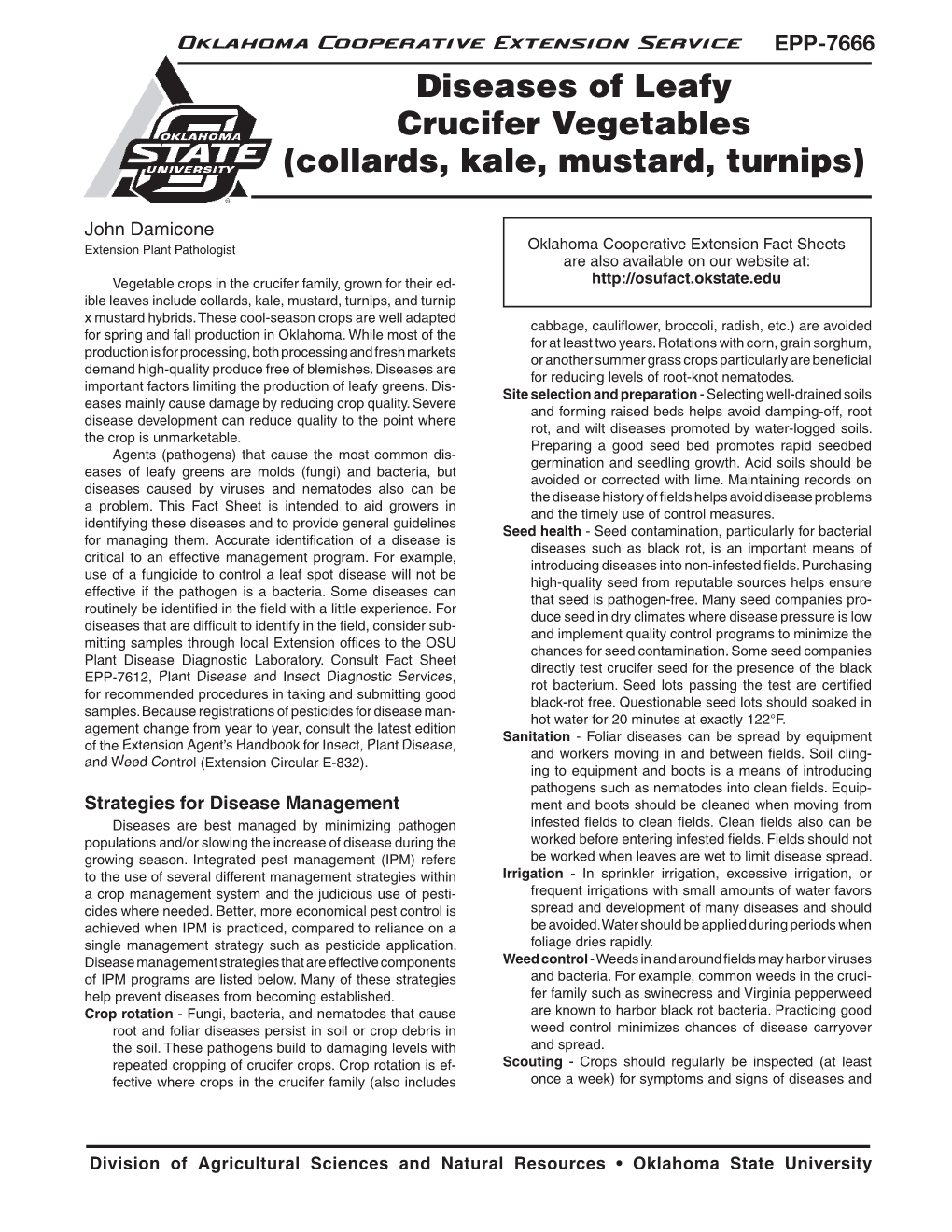 Diseases of Leafy Crucifer Vegetables (Collards, Kale, Mustard, Turnips)