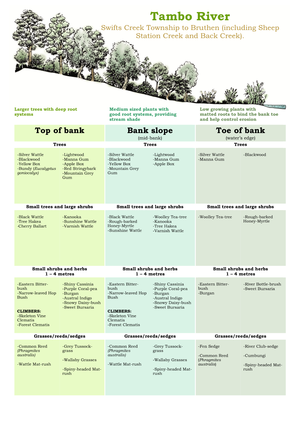 Planting Guide Tambo River Swifts Creek to Bruthen