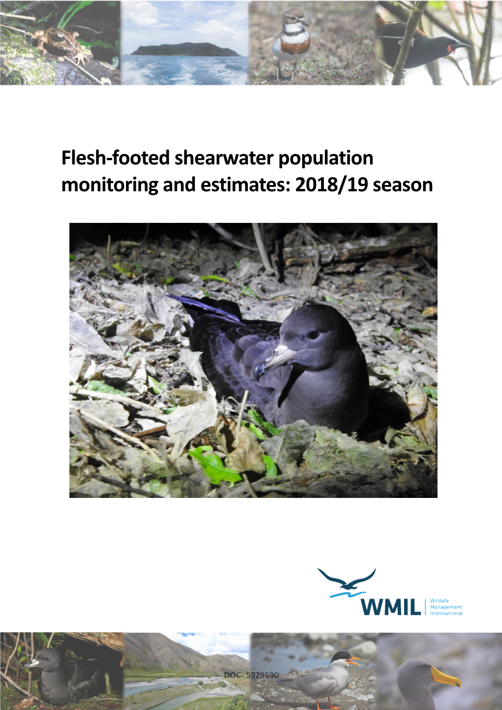 Flesh-Footed Shearwater Population Monitoring 2018/19