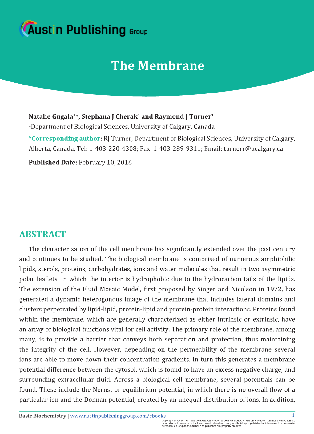 The Membrane