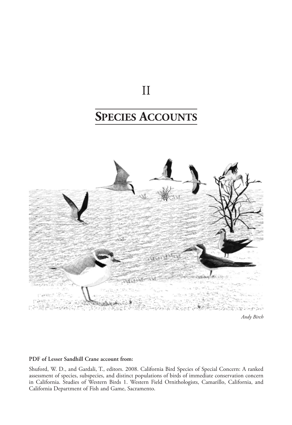 Lesser Sandhill Crane Account From: Shuford, W