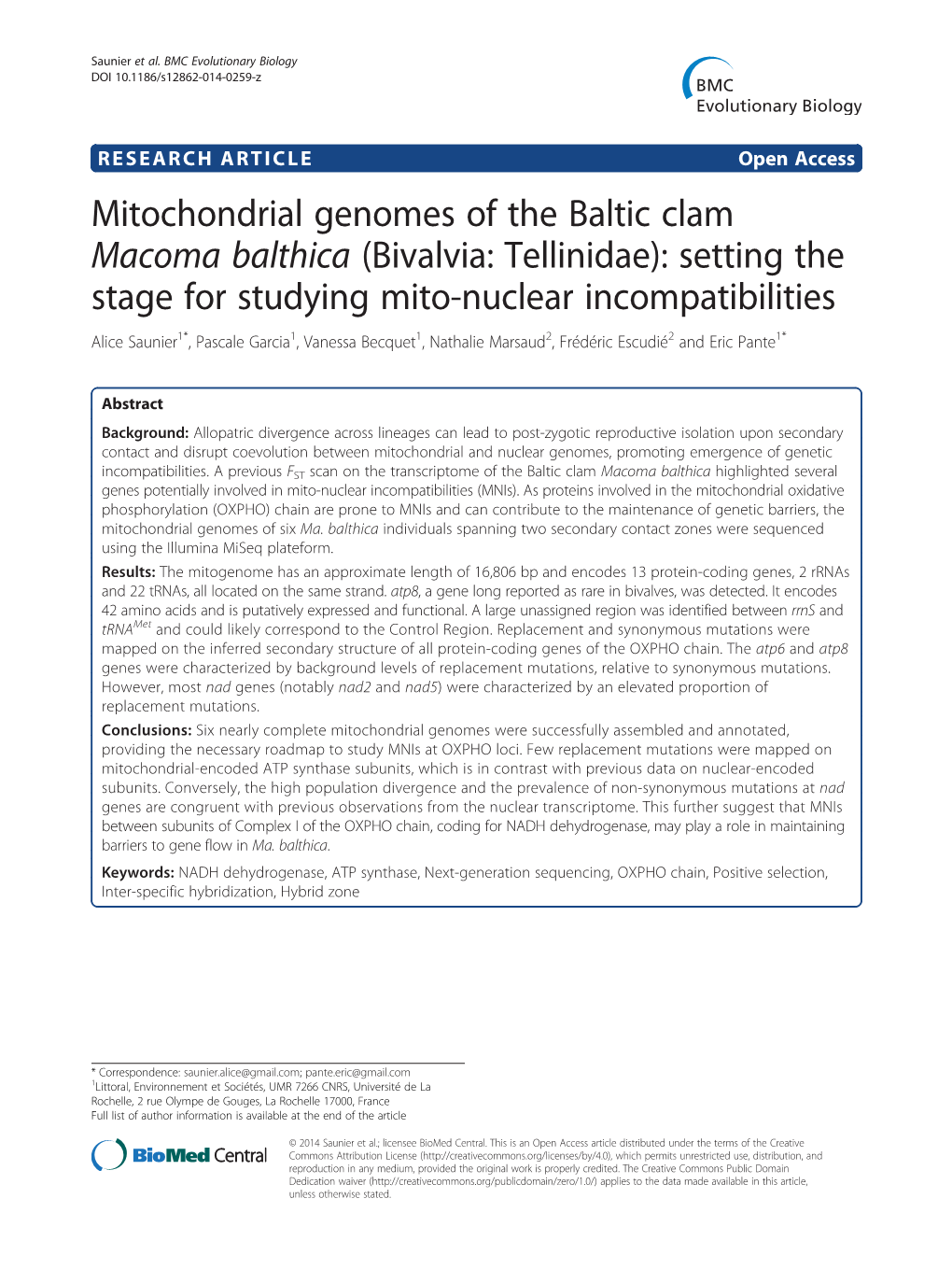 Mitochondrial Genomes of the Baltic Clam Macoma