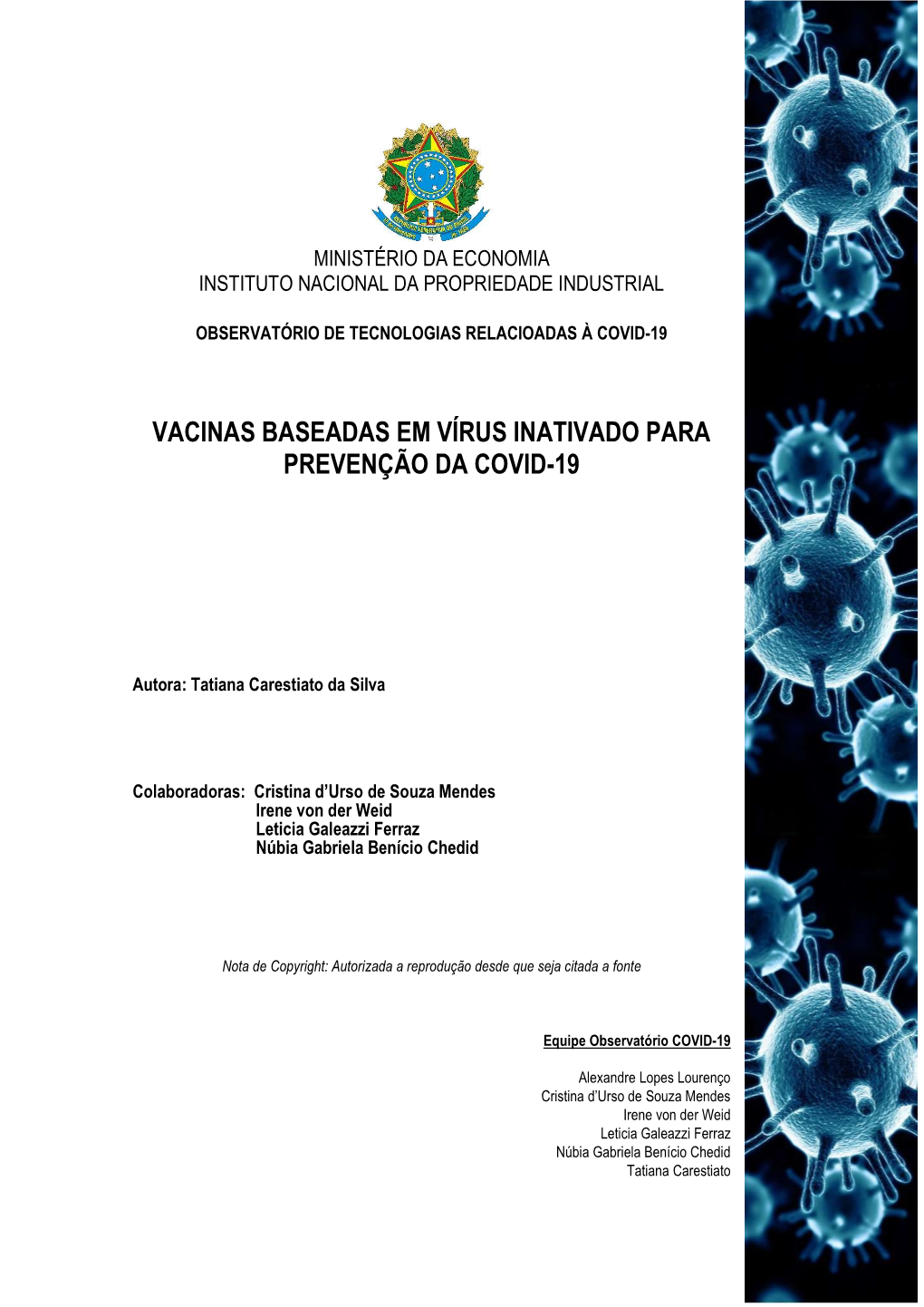 Vacinas Baseadas Em Vírus Inativado Para Prevenção Da Covid-19