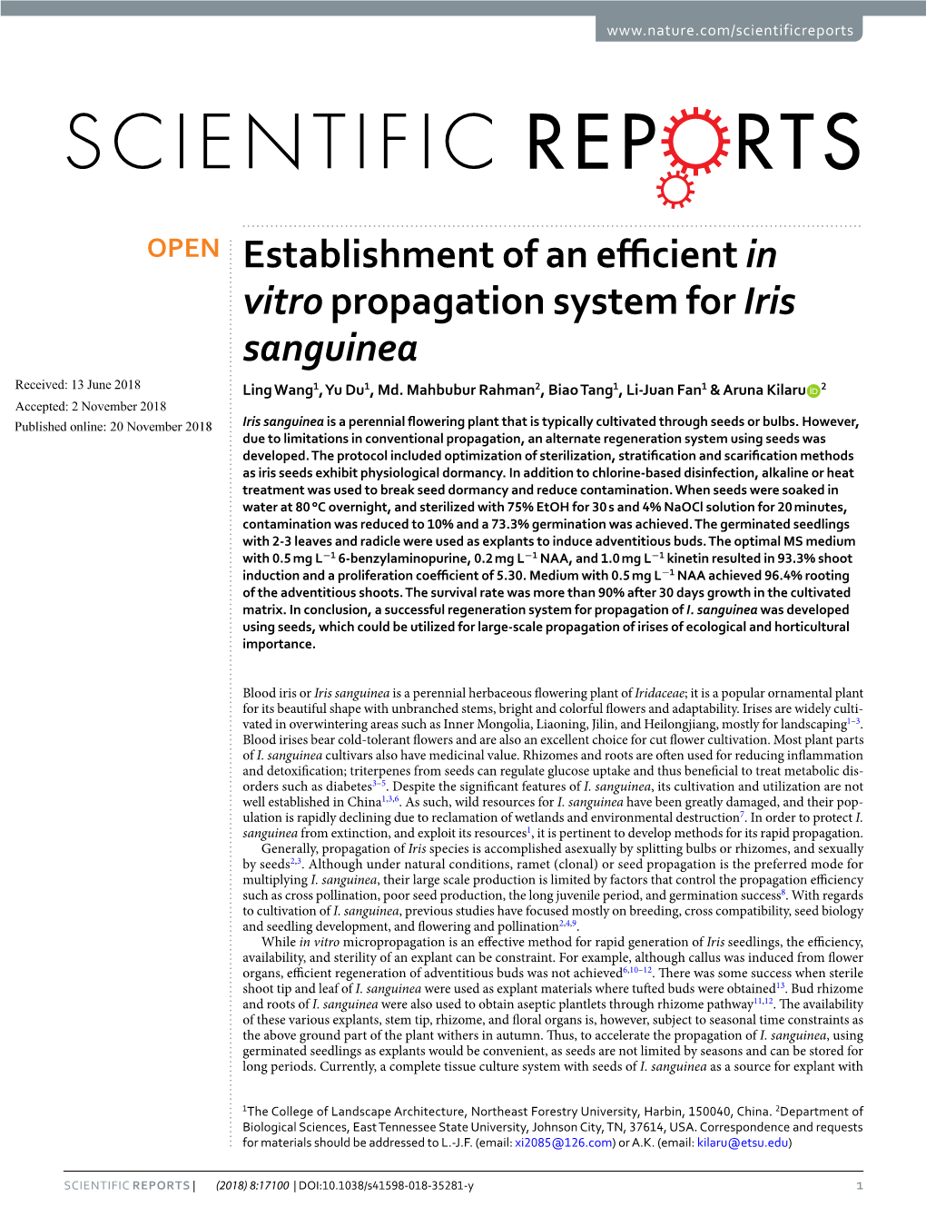 Establishment of an Efficient in Vitro Propagation System for Iris Sanguinea