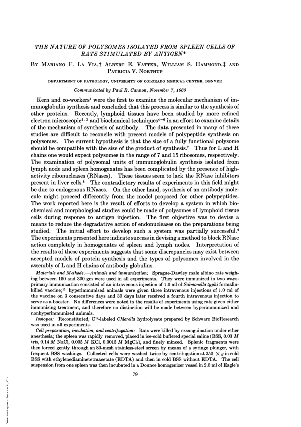 Chemical and Morphological Studies Could Be Made of Polysomes of Lymphoid Tissue Cells During Response to Antigen Injection