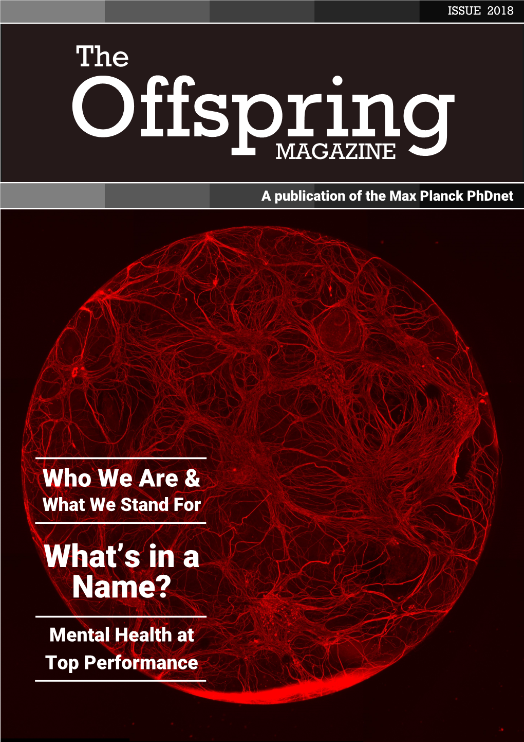 Offspring MAGAZINE