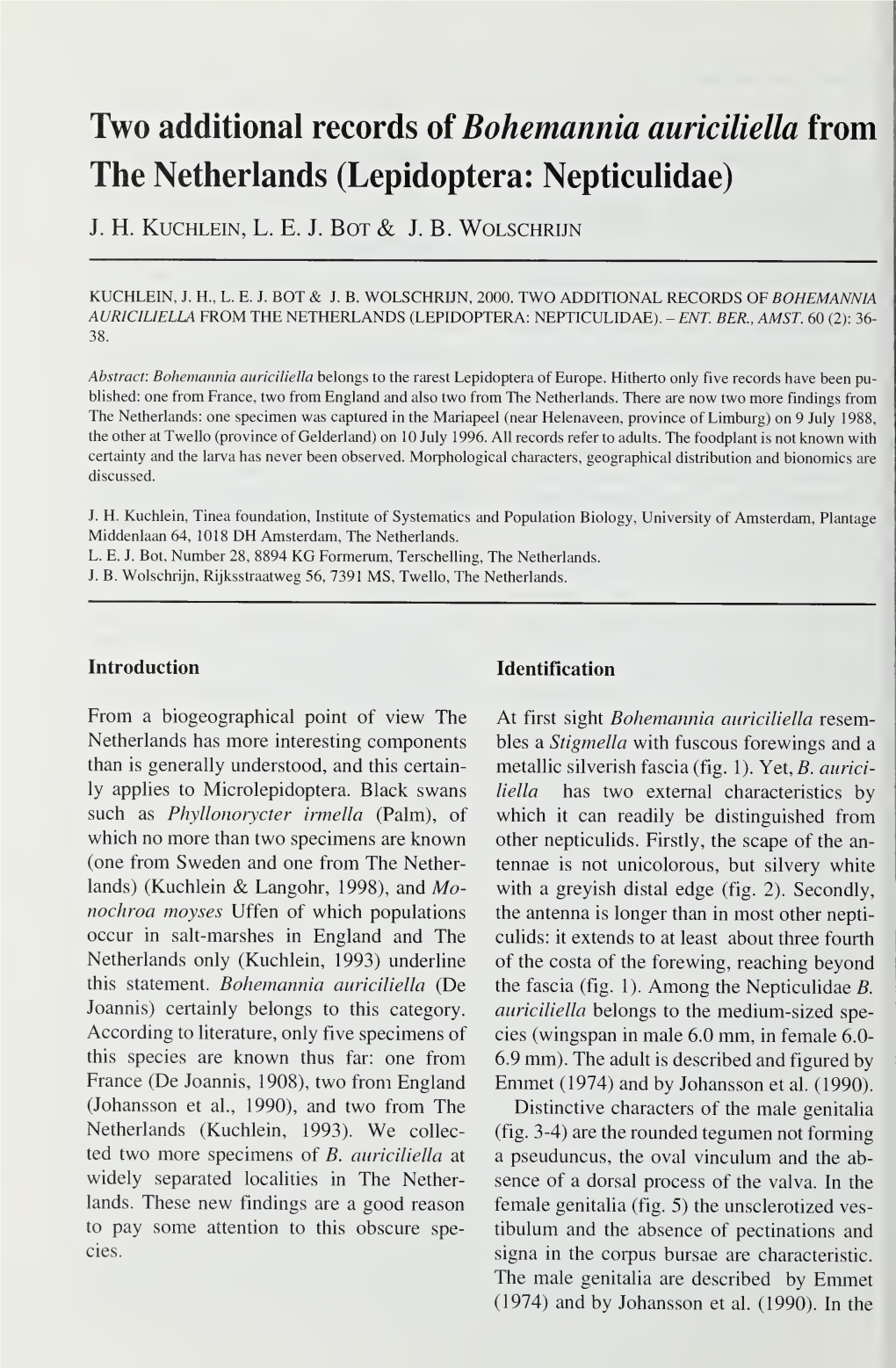 Two Additional Records of Bohemannia Auriciliella from the Netherlands (Lepidoptera: Nepticulidae)