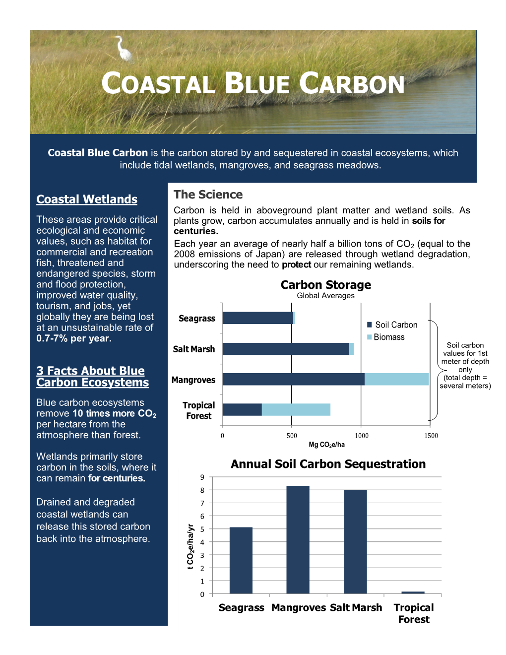 Coastal Blue Carbon