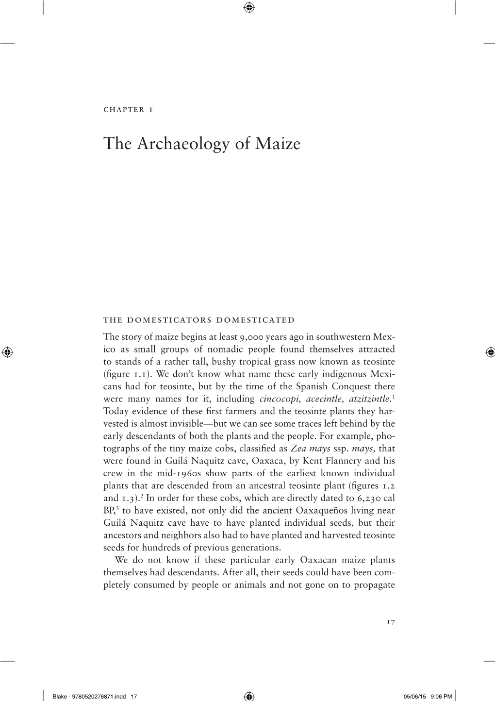 The Archaeology of Maize