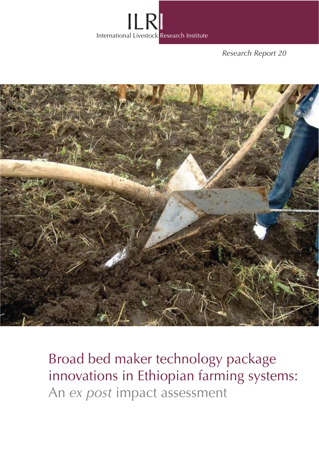 Broad Bed Maker Technology Package Innovations in Ethiopian Farming Systems: an Ex Post Impact Assessment