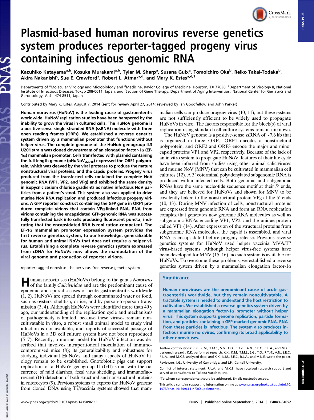 Plasmid-Based Human Norovirus Reverse Genetics System Produces