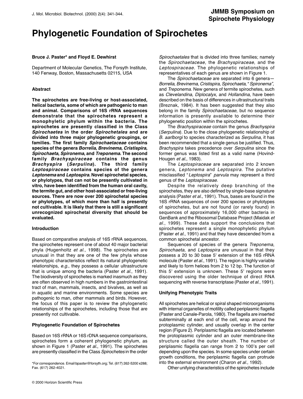 Phylogenetic Foundation of Spirochetes