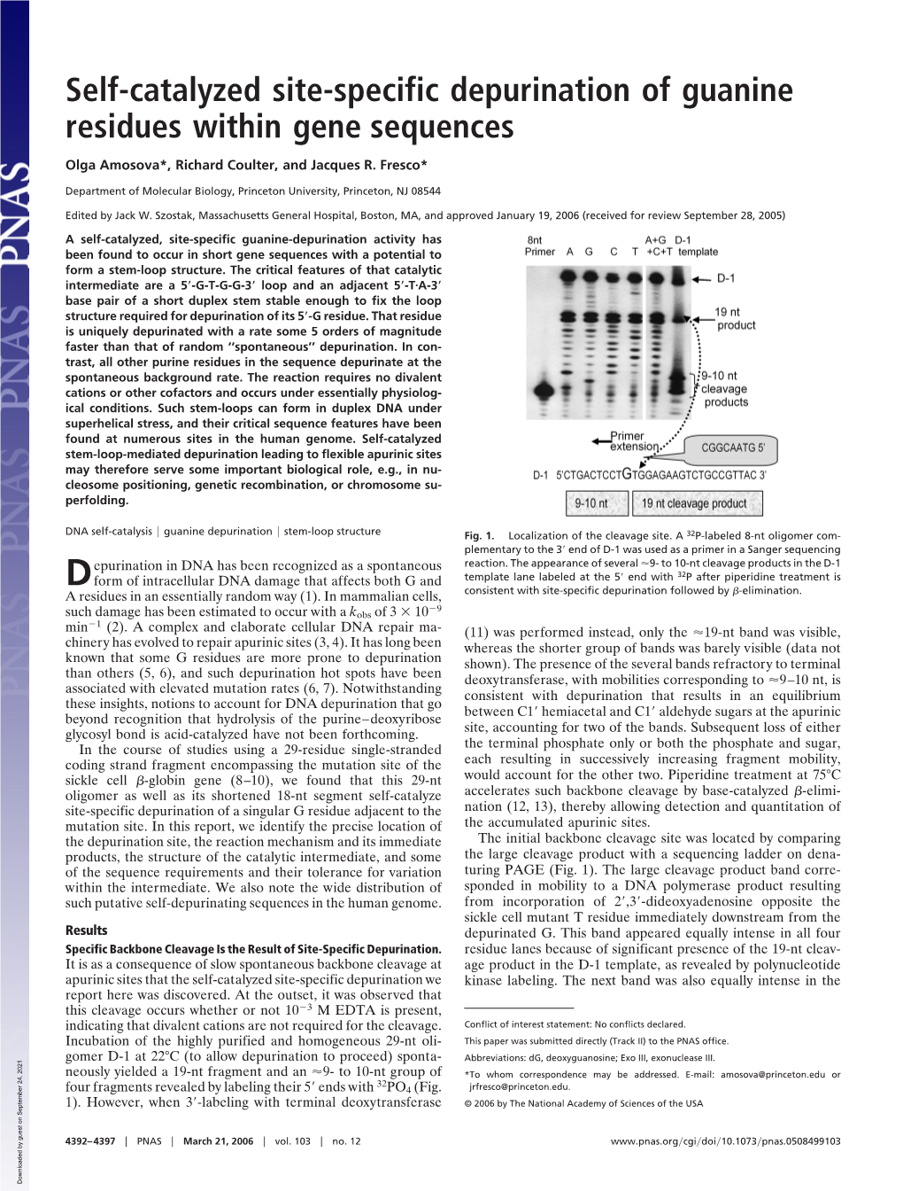 Self-Catalyzed Site-Specific Depurination of Guanine Residues Within Gene Sequences