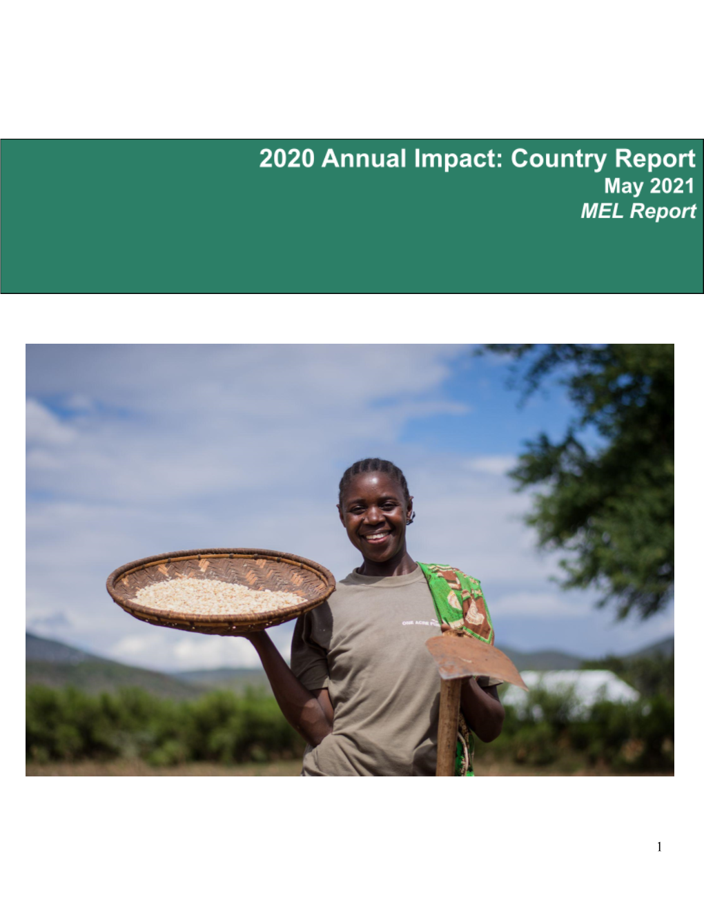 2020 Country-Specific Impact Report