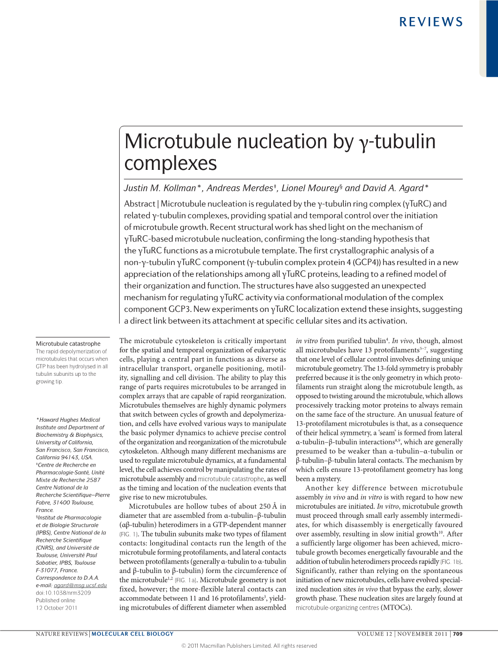 Microtubule Nucleation by Γ-Tubulin Complexes