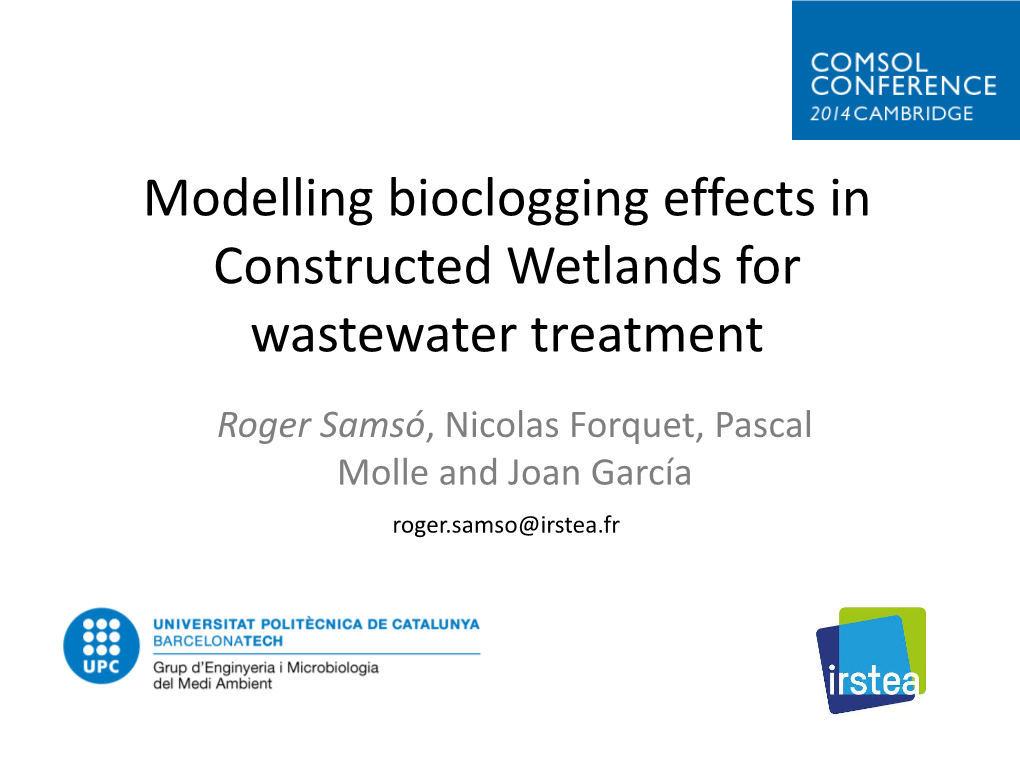 Bioclogging Effects in Constructed Wetlands for Wastewater Treatment