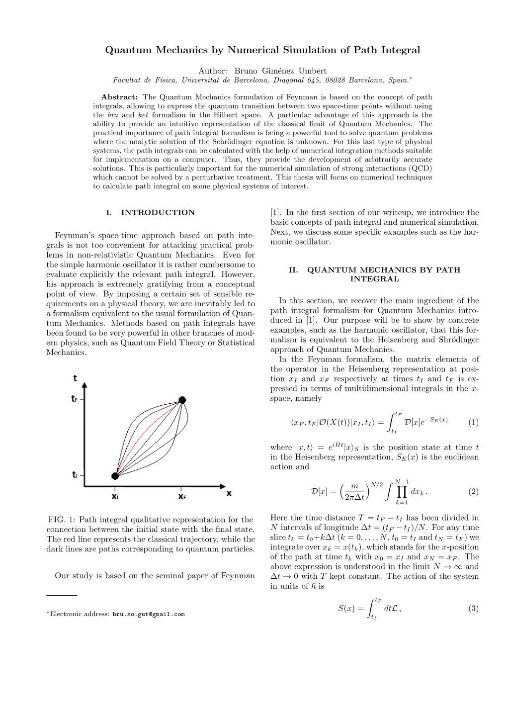 Quantum Mechanics by Numerical Simulation of Path Integral