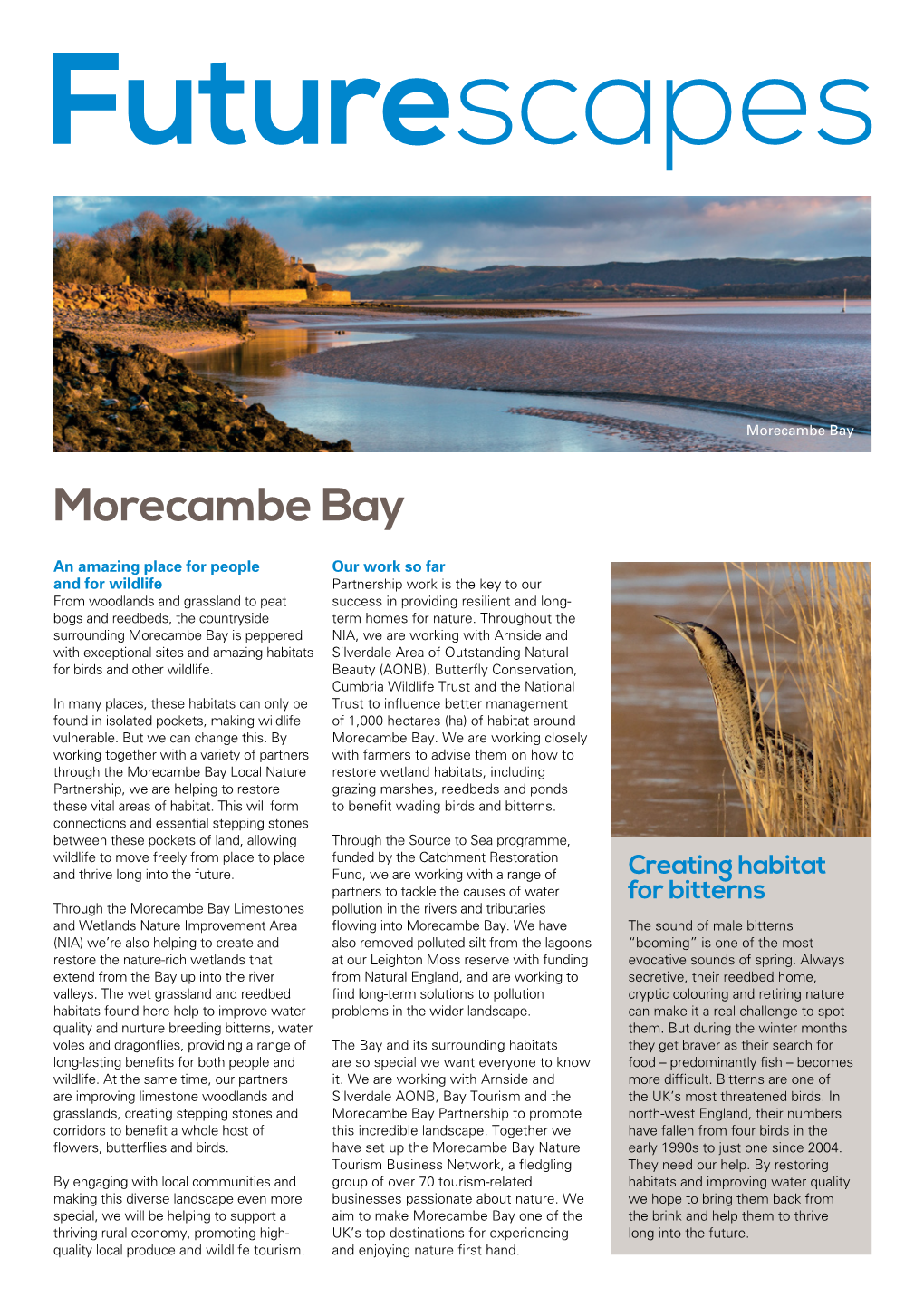 Morecambe Bay