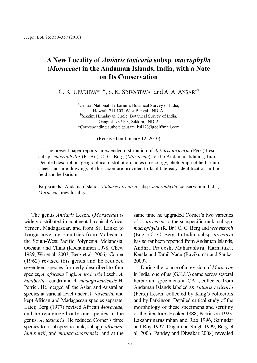 A New Locality of Antiaris Toxicaria Subsp. Macrophylla (Moraceae) in the Andaman Islands, India, with a Note on Its Conservation